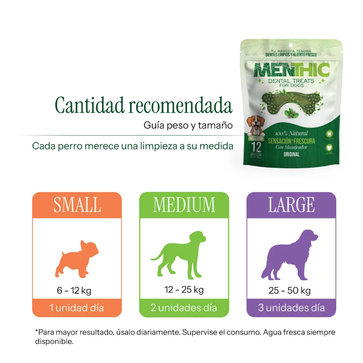 Limpiador dental MENTHIC Hueso x 12